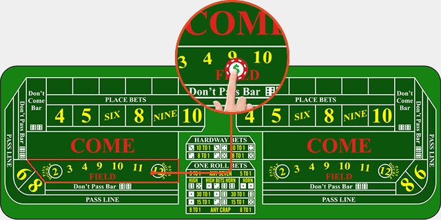 Craps play the field odds