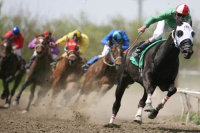 horse racing betting