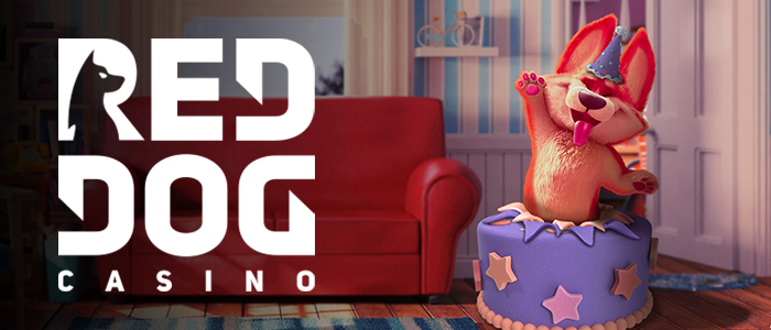 Try Red Dog Video Poker Here with No Download