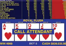 Video Poker Big Win