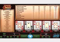 Video Poker Jokers Wild Screenshot