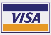 Visa Payment Method Logo
