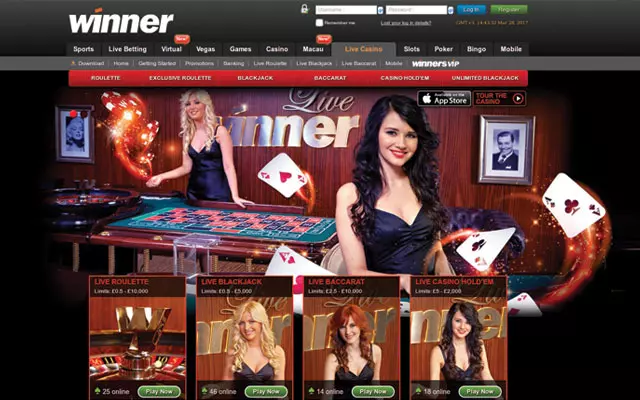 Winner 1
