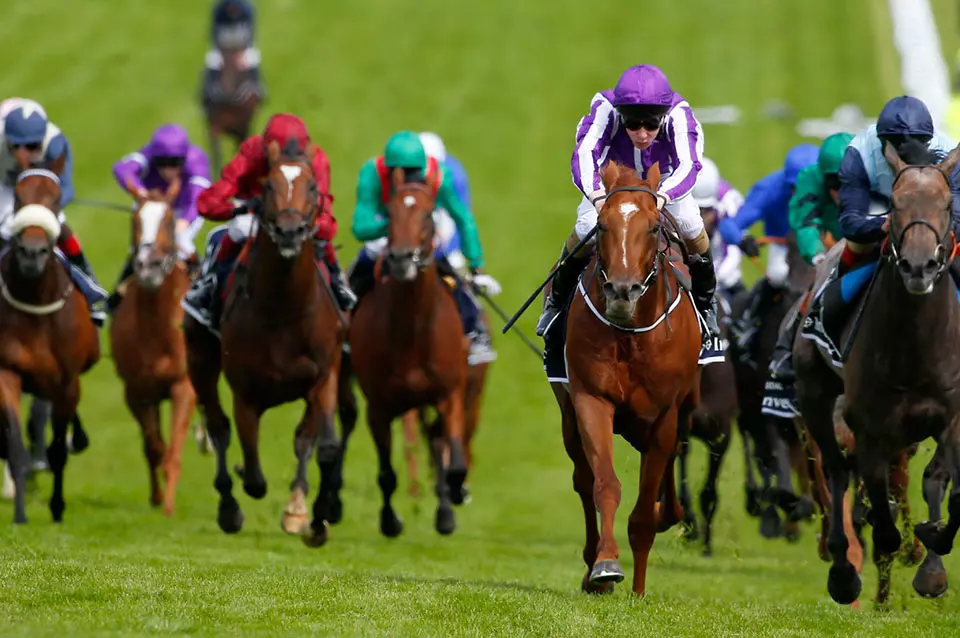 British Horse Racing on the Verge of New Betting Levy Reform British Horse Racing on the Verge of New Betting Levy Reform