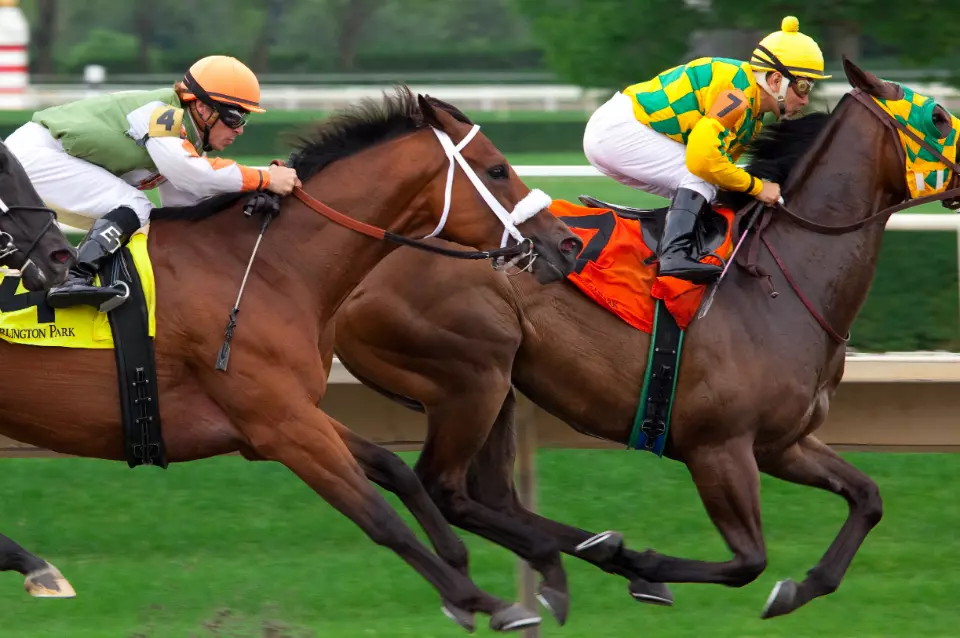 Danske Spil’s Monopoly is Nixed to Liberalize Racing and Online Bingo Market Danske Spil’s Monopoly is Nixed to Liberalize Racing and Online Bingo Market