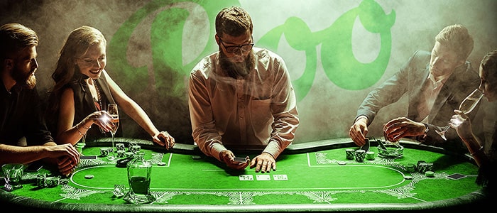 Roo Casino App Safety