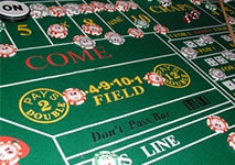 Craps Field Bet