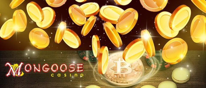 Mongoose Casino App Banking | CasinoGamesPro.com