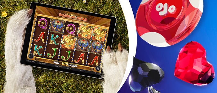 PlayOJO Casino Mobile App | CasinoGamesPro.com