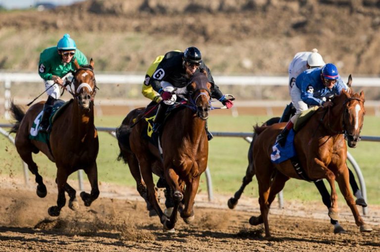 New Campaign Aims to Legalize Casino Gambling at Nebraska’s Horse Race