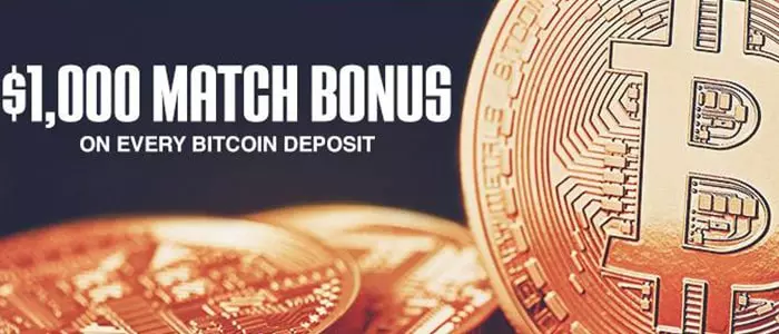 ignition casino app banking