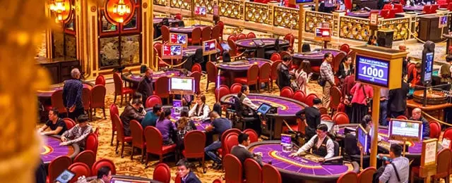 Where to Gamble in Macau