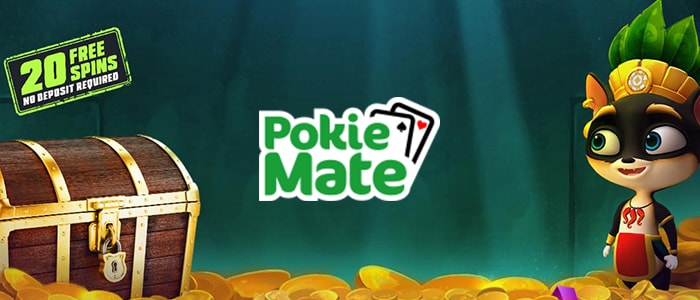 Pokie Mate Casino App Intro