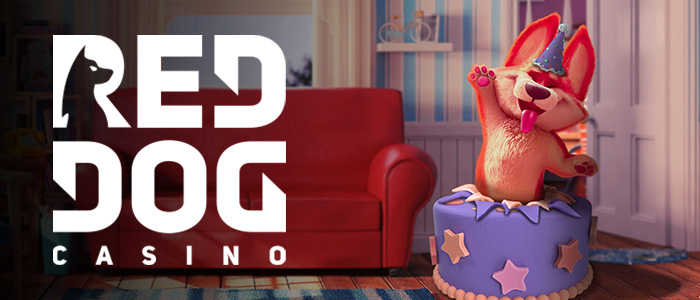 Red Dog Casino Mobile App | CasinoGamesPro.com