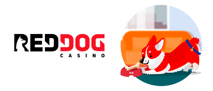 Red Dog Casino Mobile App | CasinoGamesPro.com