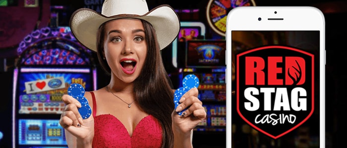 Red Stag Casino App Intro