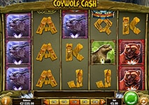 Coywolf Cash Slot Theme
