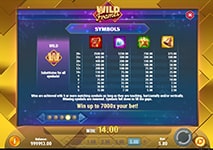 Wild Frames Slot Combinations and Jackpots