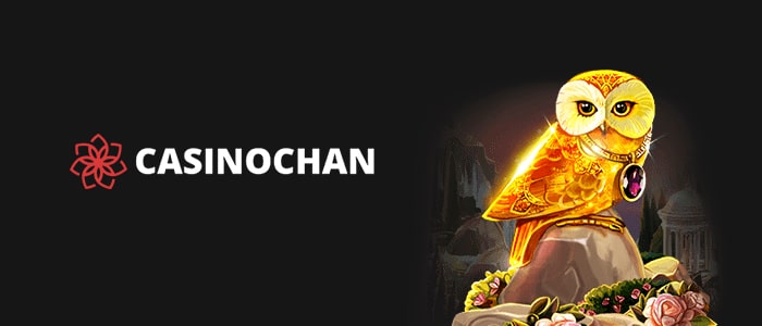 Casinochan Mobile App - Download Casinochan Mobile Casino