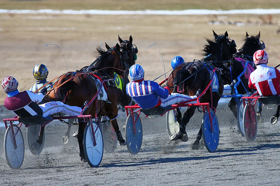 AGCO Will Be Hosting Three Virtual Info Sessions Concerning New Rules on Medications for Horses Participating in Qualifiers and Workouts