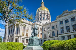 Gorgia State Senate Committee