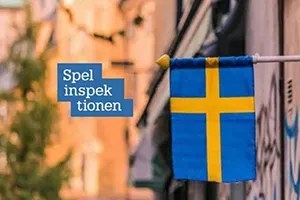 Spelinspektionen